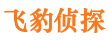 桦川外遇调查取证